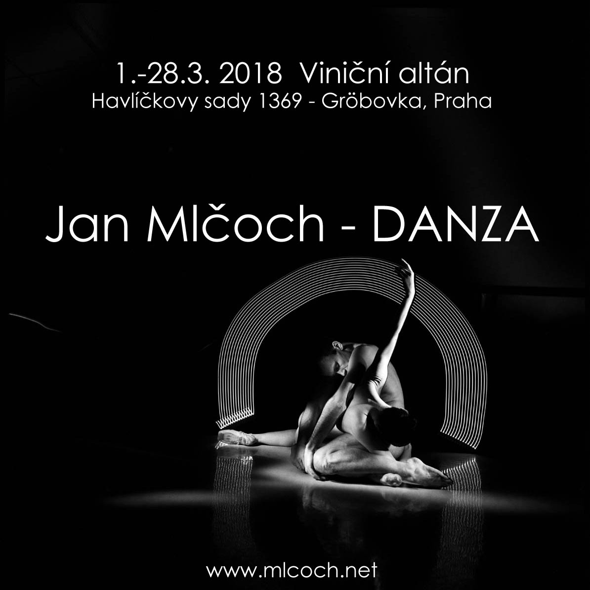 výstava Danza